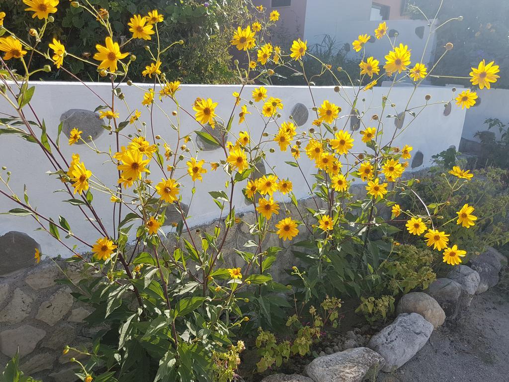 Melina'S Apartments Kalavárda エクステリア 写真
